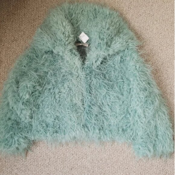 Free People NWT Moonlight Oversized Faux Fur Extra Soft Jacket Mint Green size L - Picture 5 of 6